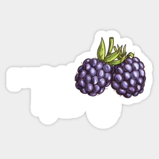 Powered by Blackberries Sticker